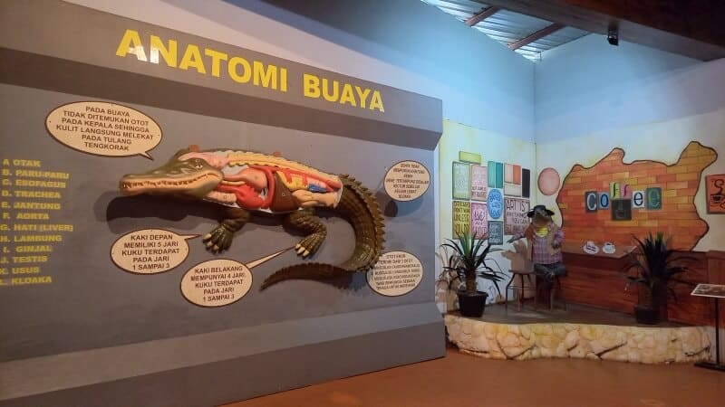 Predator Fun Park, Saat Sang Pemangsa Tampil&nbsp;Beda