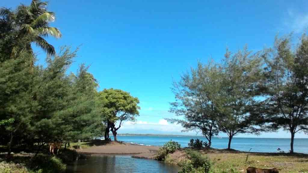 Pemandangan Asri dan Suasana Santai di Pantai Firdaus Banongan Situbondo