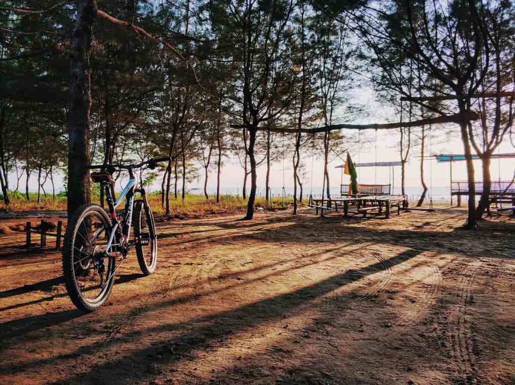 Pantai Cemara Tuban, Wisata Pantai dengan Deretan Pohon Cemara Teduh